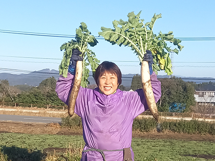 天候や収穫量によって変動しても前日まで手配人数の調整が可能になった